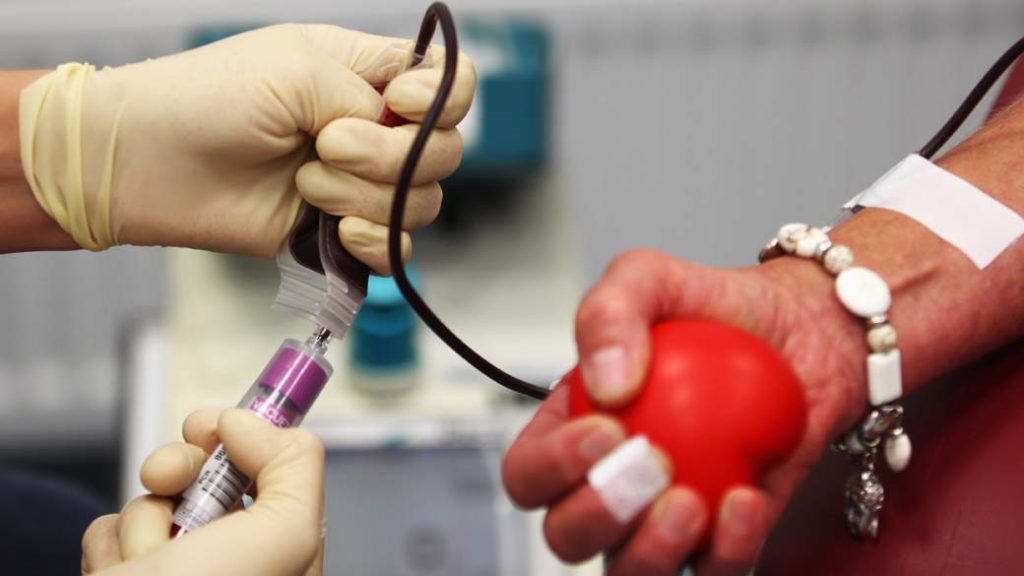 Na imagem, a mão de uma enfermeira com luvas de látex faz a coleta de sangue com uma seringa, da bolsa de sangue sendo doada por uma segunda pessoa, que segura uma bolinha em formato de coração, para estimular a saída do sangue.
Agora, homossexuais poderão doar sangue