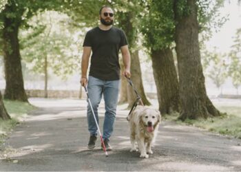 Deficientes visuais: saiba como ferramentas podem te ajudar a promover a equidade na sua empresa