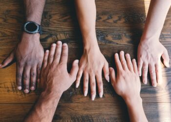 consultoria de inclusão