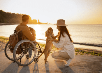 Entenda como funciona a acessibilidade no Brasil